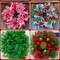 3 Rolls Mesh Ribbon for Wreaths, 6 Inch x 30 Feet Each Roll Red Green White Poly Deco Mesh Rolls, Christmas Ribbon for Wreaths, Swags and Christmas Tree Decoration